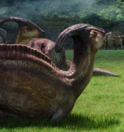 jurassic world fallen kingdom parasaurolophus