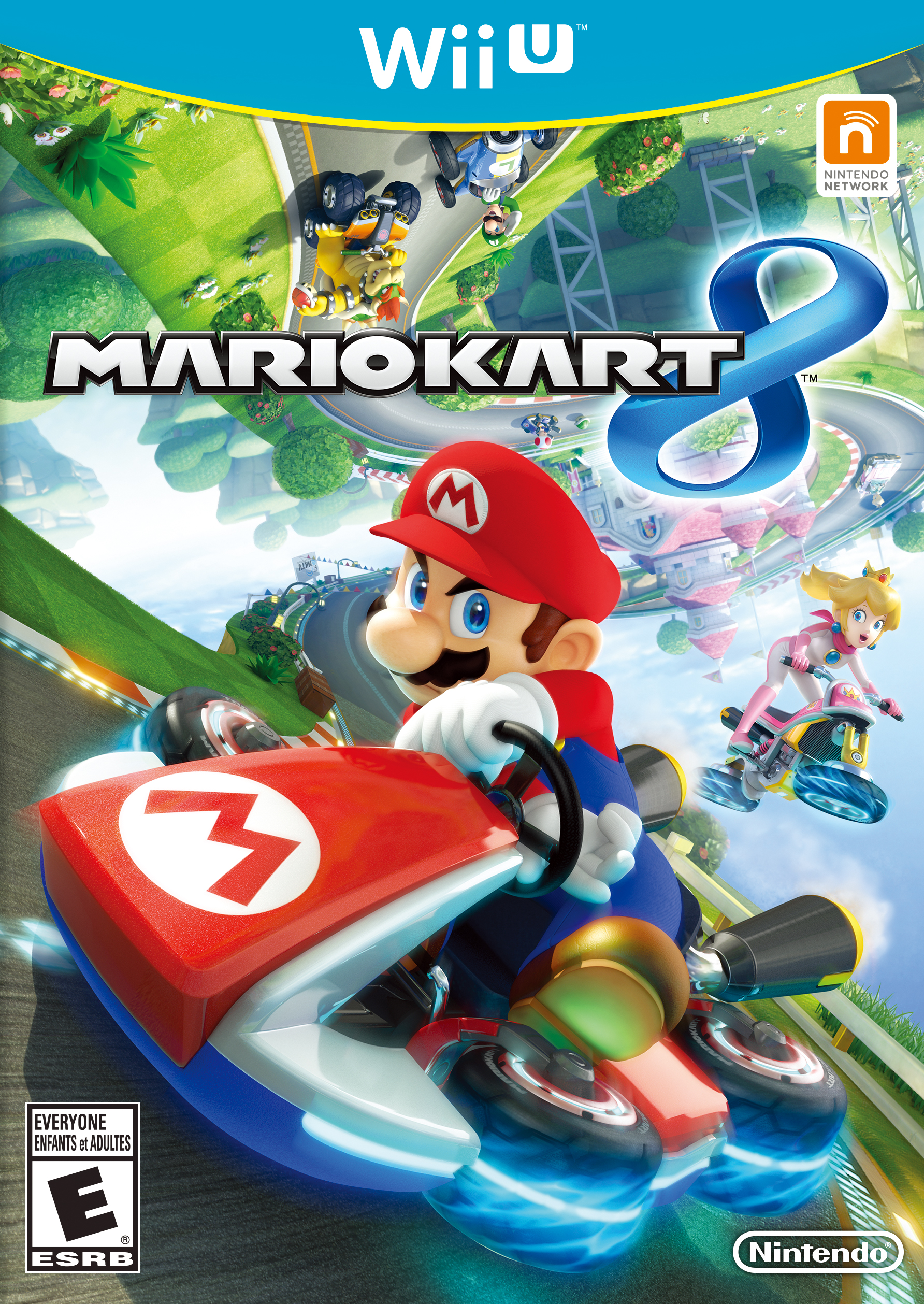 Mario Kart 8 NonHuman Video Game Flattenings Wikia FANDOM powered