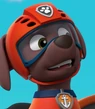Zuma-paw-patrol-79.4