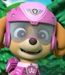 Skye-paw-patrol-8.29