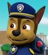 Chase-paw-patrol-3.19