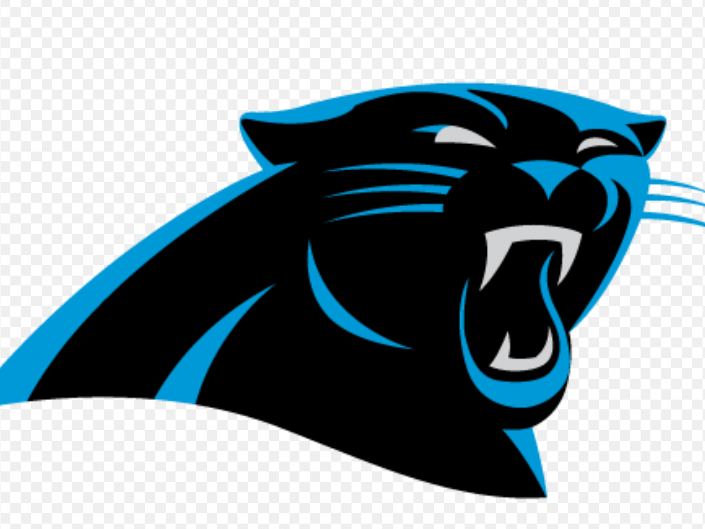 Carolina Panthers | North Carolina Wiki | Fandom