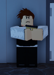 Roblox Notoriety Custody