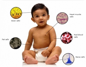 Genographic