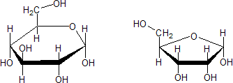 Mutorotacija