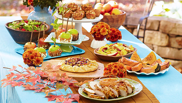 Image Kids Birthday Party Food Jpg Novum Terram Wiki Fandom Kids Birthday Party Food Jpg