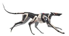 Cyberdog