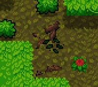Jungle