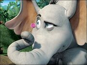 Horton