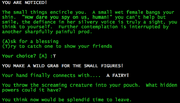 Successful Fairy