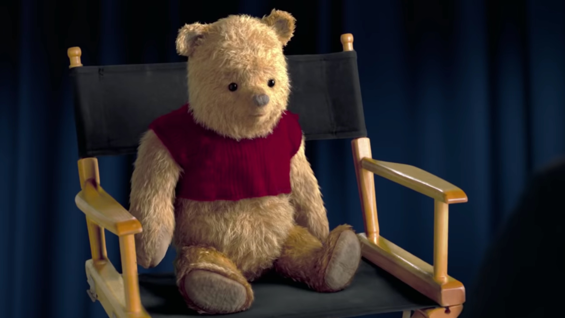 winnie the pooh live action plush