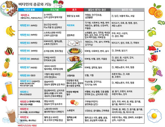 비타민 3