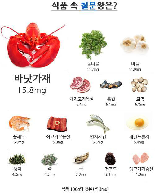 철 급원 식품