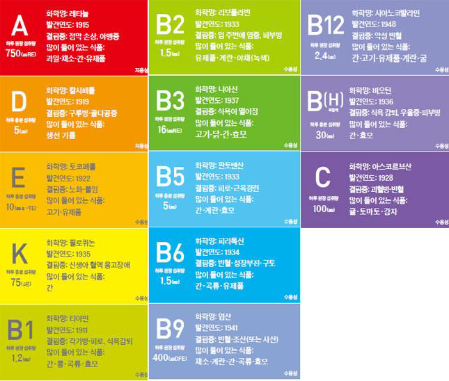 비타민 2