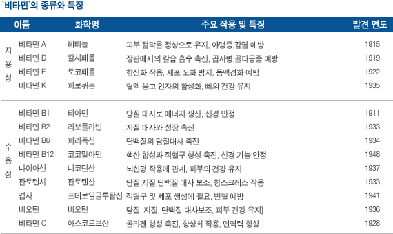 비타민