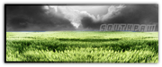 Dark Meadow Sig