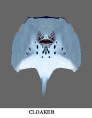 Cloaker