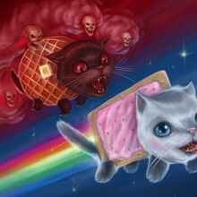 Tac Nayn Nyan Cat Wiki Fandom