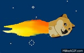 Image - Epic doge.gif | Nyan Cat Wiki | FANDOM powered by Wikia