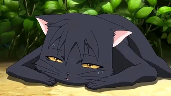 Will Heaven Wait Nyan Koi Wiki Fandom