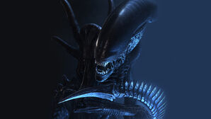 Xenomorph