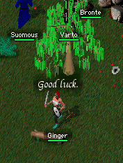 Ginger 3