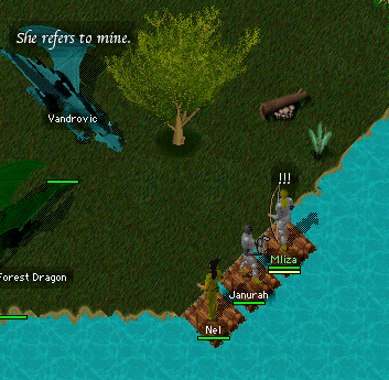 Vandrovicandforest
