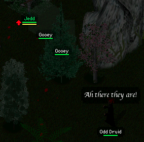 Odd Druid