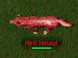 HH