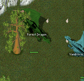 Vandrovic Forest 2