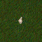 Screen shot 2012-12-26 at 9.16.47 AM