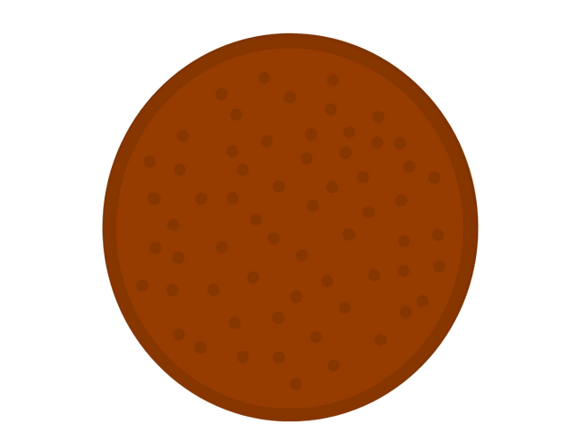 File:Cookie.png