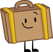 Suitcase2017