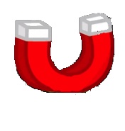 Magnet