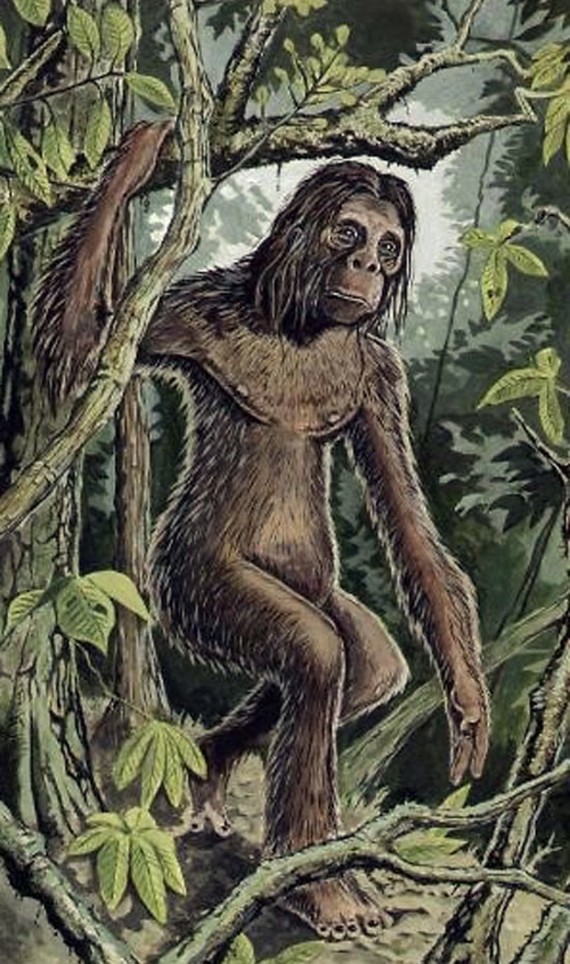  Rock  Apes  ObscUrban Legend Wikia Fandom