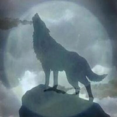 different ghost wolf forms different ghost wolf forms