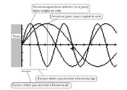 Absor3-1-