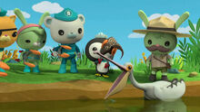 Images-3