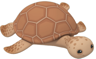 octonauts creature report baby sea turtle
