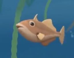 wolf eel vs wolf fish wolf eel vs wolf fish