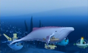 Teamwork Whale Moving