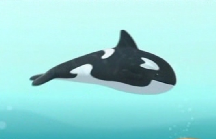 creature report orca