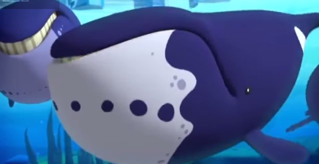 bowhead whale plush