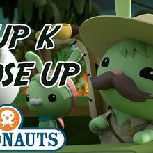 octonauts gup k