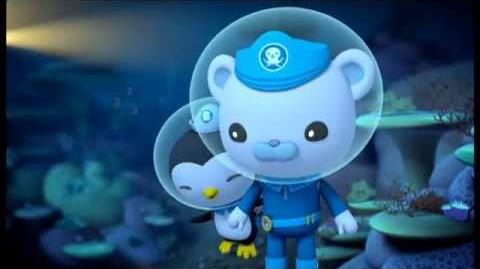 Video - The Humphead Parrotfish | Octonauts Wiki | FANDOM powered by Wikia