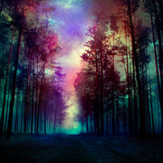 10a0f69103d57c86938d29891964b49d
