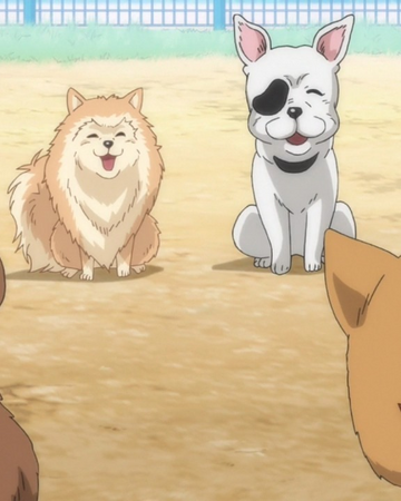 Get Wallpaper Episode 8 Oda Shinamon Nobunaga Wiki Fandom For Android