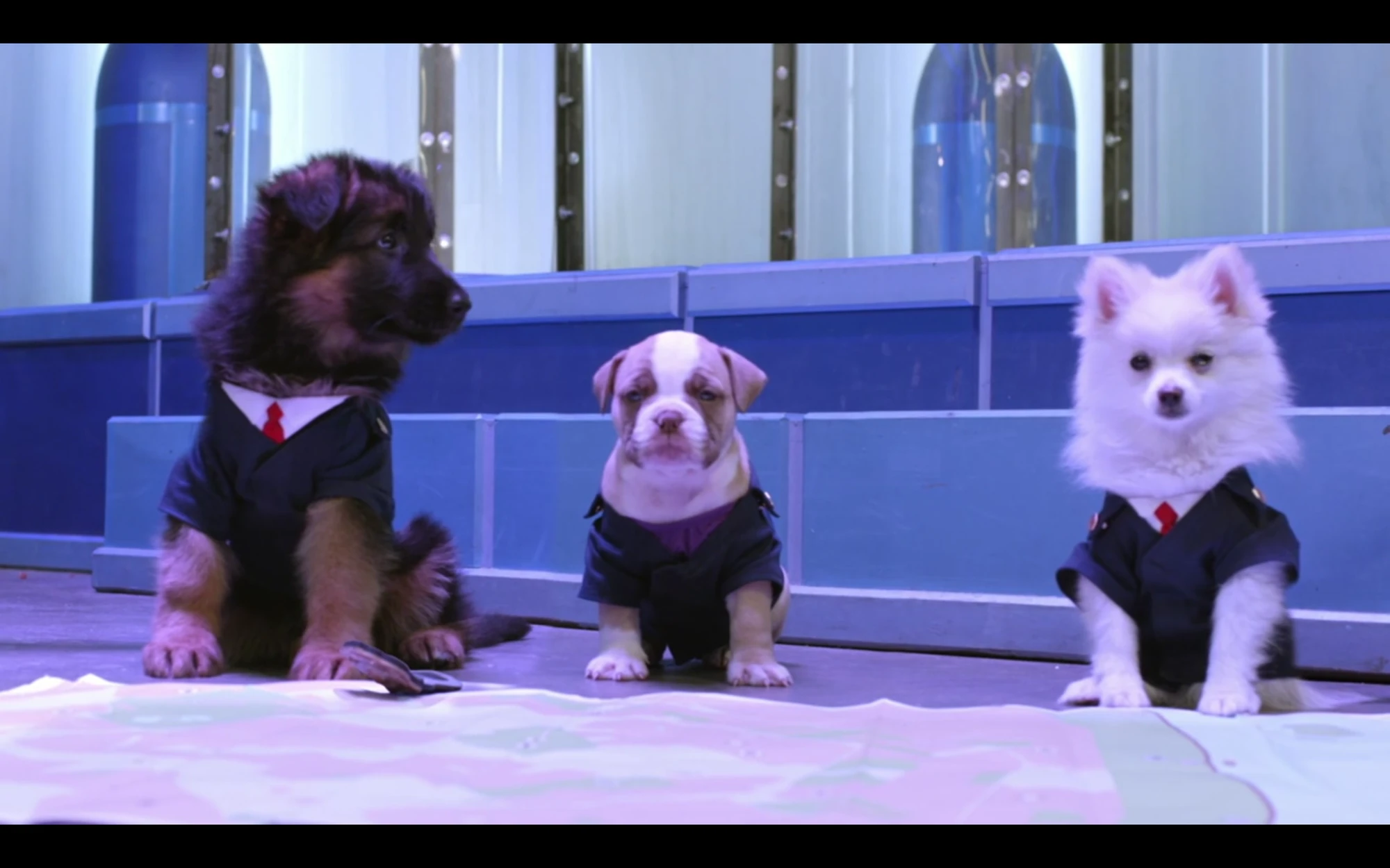 Image - And Then They Were Puppies-Screencap.png | Odd Squad Wiki