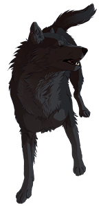 Jera