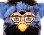 Furby584
